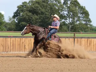 Joe The Whoa, 7 Year Old Chestnut Quarter Horse Gelding for Sale in Buffalo, MO, photo 6 of 6