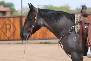 Jinx