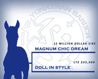 Horse by Magnum Chic Dream, Quarter Horse for Sale