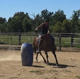 Penny, 12 Year Old Chestnut Quarter Horse Mare for Sale in Anderson, CA, photo 3 of 4