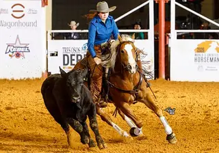 Tuff As Nails, 4 Year Old Sorrel Quarter Horse Gelding for Sale