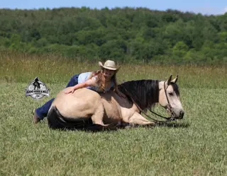 Mike's Poco Whiz, 5 Year Old Buckskin Quarter Horse Gelding for Sale in Mt. Vernon, KY, photo 2 of 4
