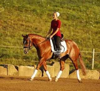 Nite Trip Chic (Royal), 5 Year Old Sorrel Quarter Horse Gelding for Sale in Millersburg, OH, photo 3 of 4