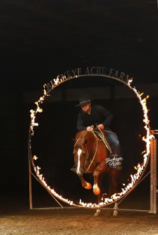 Nite Trip Chic (Royal), 5 Year Old Sorrel Quarter Horse Gelding for Sale in Millersburg, OH, photo 4 of 4