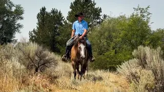 Peanut, 4 Year Old Grullo Quarter Horse Gelding for Sale in ID, photo 2 of 5
