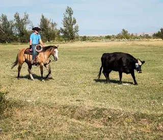 Peanut, 4 Year Old Grullo Quarter Horse Gelding for Sale in ID, photo 3 of 5