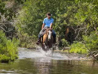 Peanut, 4 Year Old Grullo Quarter Horse Gelding for Sale in ID, photo 4 of 5