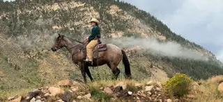 Pistol, 3 Year Old Roan Quarter Horse Gelding for Sale in Altamont, UT