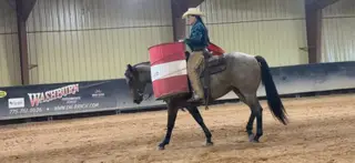 Pistol, 3 Year Old Roan Quarter Horse Gelding for Sale in Altamont, UT, photo 2 of 5