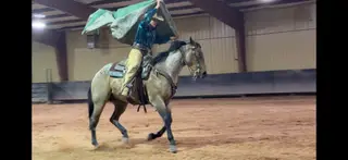 Pistol, 3 Year Old Roan Quarter Horse Gelding for Sale in Altamont, UT, photo 5 of 5