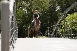 Alvin, 5 Year Old Red Roan Quarter Horse Gelding for Sale in Troy, TX, photo 4 of 4