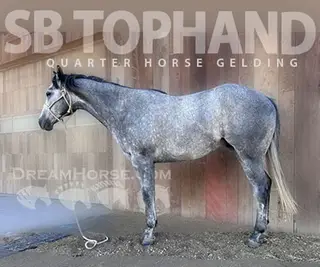 SB TopHand (Wonk)