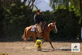 RJ Wind Socks, 3 Year Old Sorrel Paint Horse Mare for Sale in CA, photo 4 of 5