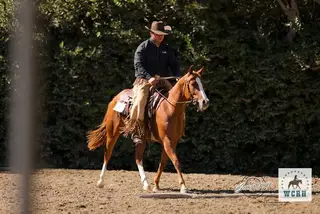 RJ Wind Socks, 3 Year Old Sorrel Paint Horse Mare for Sale in CA, photo 5 of 5