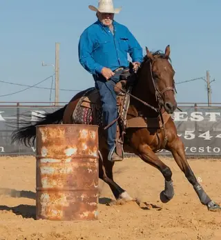 Dudes Dizzy Boy (Storm), 14 Year Old Bay Quarter Horse Gelding for Sale in Abilene, KS