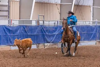 Dudes Dizzy Boy (Storm), 14 Year Old Bay Quarter Horse Gelding for Sale in Abilene, KS, photo 2 of 3