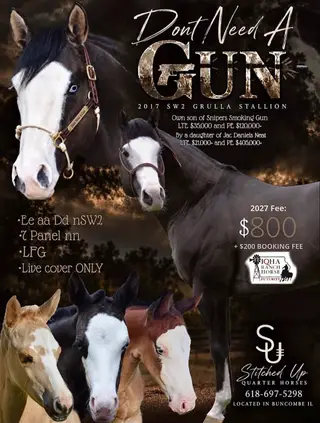 Dont Need A Gun, 9 Year Old Grulla Quarter Horse Stallion for Sale in Buncombe, IL