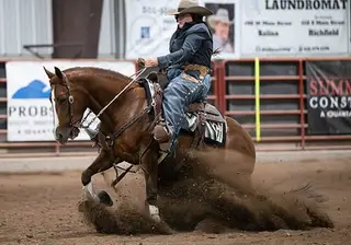 One Royal Valentine (Teddy), 8 Year Old Sorrel Quarter Horse Mare for Sale