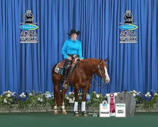 El Senor Red, 14 Year Old Sorrel Quarter Horse Stallion for Sale in Corsica, SD, photo 5 of 5