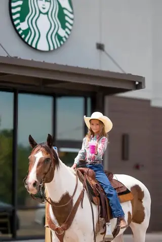 Laffy Taffy, 12 Year Old Paint Mare for Sale in Allen / Enid, OK, photo 2 of 5