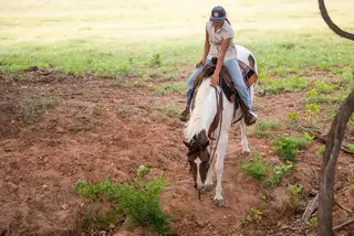 Laffy Taffy, 12 Year Old Paint Mare for Sale in Allen / Enid, OK, photo 5 of 5