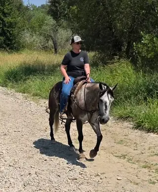 Armani, 5 Year Old Grulla Quarter Horse Gelding for Sale in Anderson, CA, photo 2 of 5