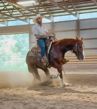 Hired Gunman, 2 Year Old Sorrel Quarter Horse Stallion for Sale in Gerald, MO, photo 2 of 3