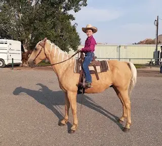 Sunny, 14 Year Old Quarter Horse Gelding for Sale in Thermopolis, WY