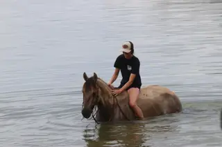 Honey's Perfect Storm (Ratatouille), 5 Year Old Grullo Paint Gelding for Sale in Hackettstown, NJ, photo 2 of 4