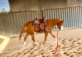 Heza Big Cool Secret (Koolio)