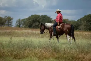 LBK Smoke N Mirrors (Mikey), 3 Year Old Sorrel Paint Gelding for Sale in De Leon, TX, photo 3 of 5