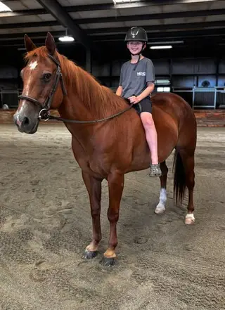 Hank, 21 Year Old Chestnut Quarter Horse Gelding for Sale in Ashland, VA, photo 2 of 5