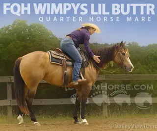 FQH Wimpys Lil Buttr (Waffles)