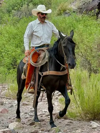 Sadie, 7 Year Old Black Quarter Horse Mare for Sale in Magdalena, NM, photo 2 of 5