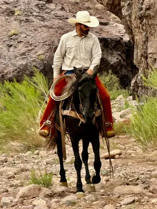 Sadie, 7 Year Old Black Quarter Horse Mare for Sale in Magdalena, NM, photo 3 of 5