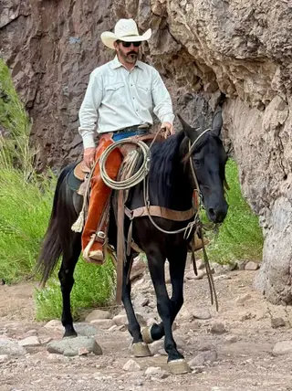 Sadie, 7 Year Old Black Quarter Horse Mare for Sale in Magdalena, NM, photo 5 of 5