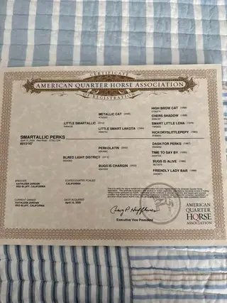 Smartallic Perks, 6 Year Old Red Roan Quarter Horse Gelding for Sale in Bakersfield, CA, photo 2 of 2
