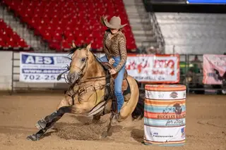 Kaptain Morgan (Rummy), 12 Year Old Buckskin Quarter Horse Gelding for Sale in Yorba Linda, CA, photo 2 of 4