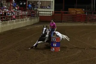 Vegas, 21 Year Old Sorrel Tobiano Mare for Sale in TX, photo 3 of 4