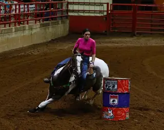 Vegas, 21 Year Old Sorrel Tobiano Mare for Sale in TX, photo 4 of 4