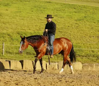 Jay Lo Nite (Eagle), 5 Year Old Bay Quarter Horse Gelding for Sale in Millersburg, OH, photo 2 of 6