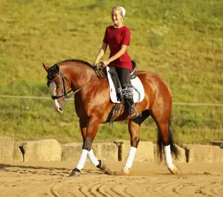 Jay Lo Nite (Eagle), 5 Year Old Bay Quarter Horse Gelding for Sale in Millersburg, OH, photo 3 of 6
