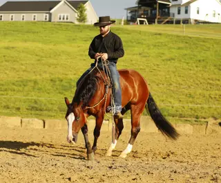 Jay Lo Nite (Eagle), 5 Year Old Bay Quarter Horse Gelding for Sale in Millersburg, OH, photo 4 of 6