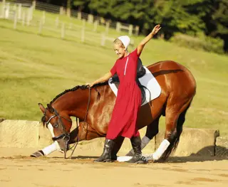 Jay Lo Nite (Eagle), 5 Year Old Bay Quarter Horse Gelding for Sale in Millersburg, OH, photo 5 of 6