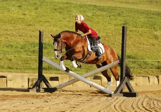 Jay Lo Nite (Eagle), 5 Year Old Bay Quarter Horse Gelding for Sale in Millersburg, OH, photo 6 of 6