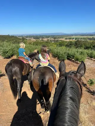 Libby, 5 Year Old Dark Bay Quarter Horse Mare for Sale in Canby, OR, photo 2 of 4