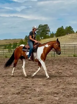 Tequila, 10 Year Old Sorrel Gelding for Sale in Black Forest, CO, photo 2 of 5