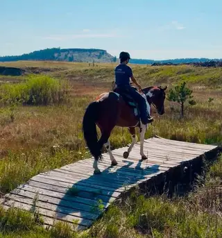 Tequila, 10 Year Old Sorrel Gelding for Sale in Black Forest, CO, photo 3 of 5