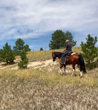 Tequila, 10 Year Old Sorrel Gelding for Sale in Black Forest, CO, photo 4 of 5