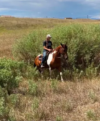 Tequila, 10 Year Old Sorrel Gelding for Sale in Black Forest, CO, photo 5 of 5